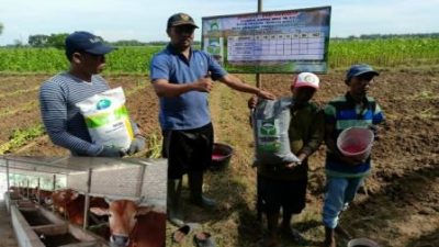 Masuk Nominasi Lima Besar Desa Tematik Tingkat Kabupaten, Begini Menurut Kades Samatan