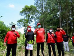 Penanaman 1000 Pohon Serentak Dalam Rangka Memperingati HUT PDI Perjuangan