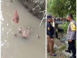 Warga Pamekasan Digegerkan Dengan Penemuan Mayat Laki – Laki Mengambang di Aliran Sungai