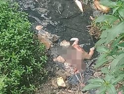 Warga Pamekasan Digegerkan Dengan Penemuan Mayat Bayi di Bawah Jembatan