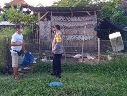 Sambangi Peternak Entok Bhabinkamtibmas Kelurahan Seminyak Polsek Kuta Berikan Himbauan Kamtibmas Serta Dukungan