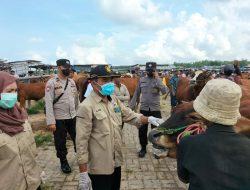 Polres Sampang Perintahkan Kapolsek, Dan Bhabinkamtibmas Turun Kelapangan Antisipasi Kasus PMK Di Kabupaten Sampang