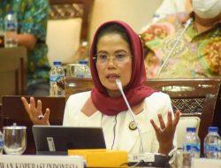 Pandangan Ketua Umum Dekopin Sri Untari dalam RDPU Panja RUU PPSK