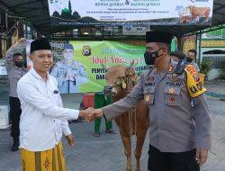 Hari Raya Idul Adha 1443 H, Polres Pamekasan Salurkan 17 Ekor Sapi Qurban Ke Masjid, Pondok Pesantren, Yayasan dan Mako Brimob