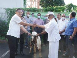Hari Raya Idul Adha 1443 H, Polresta Denpasar Qurban 5 Ekor Sapi Dan 11 Ekor Kambing
