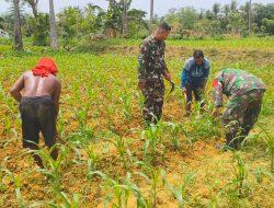 TNI Dukung Ketahanan Pangan Untuk Meningkatkan Produktivitas Pertanian