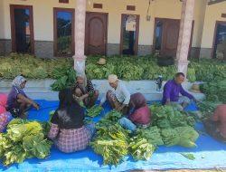 Petani Tembakau Mengaharap Perubahan Dari Pemimpin Yang Baru, 03 Ra. Bakir-Taufadi