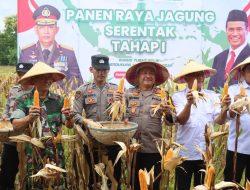 Dukung Ketahanan Pangan Nasional, Polres Pamekasan Panen Raya Jagung di Desa Ponteh