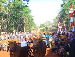 Mahasiswa Unira Ajak Masyarakat Tetap Pertahankan Budaya Madura di Ajang Sapi Hias
