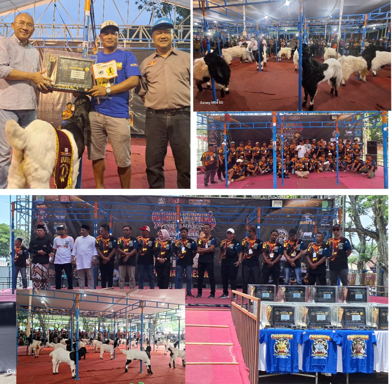 Kontes Kambing Piala Bupati Malang Di Kanjuruhan Sekaligus Pelantikan DPD Perkkanas Malang