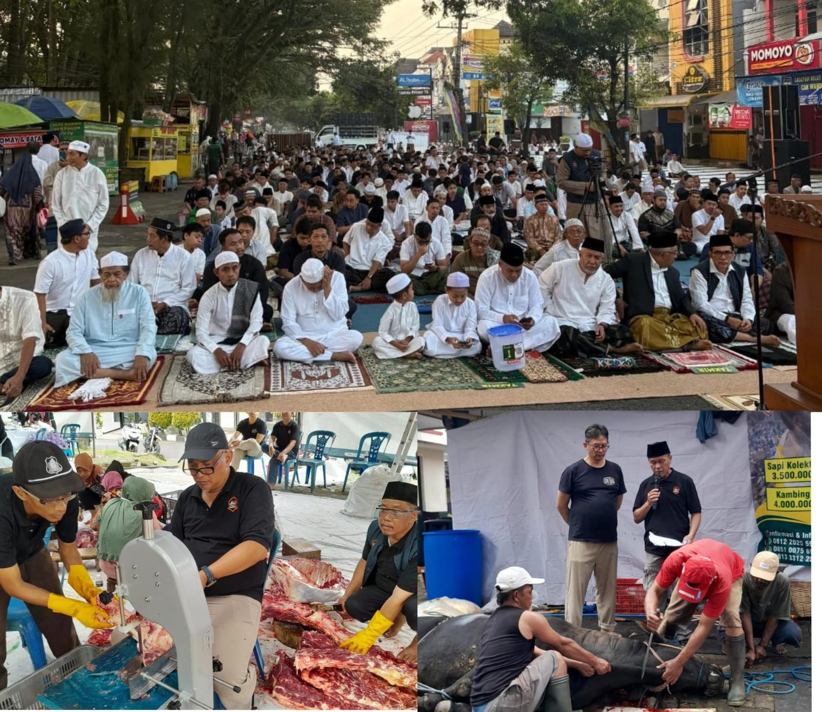 Idul Adha Di Masjid Abdillah Malang Wujud Ikhlas Kebersamaan Warga