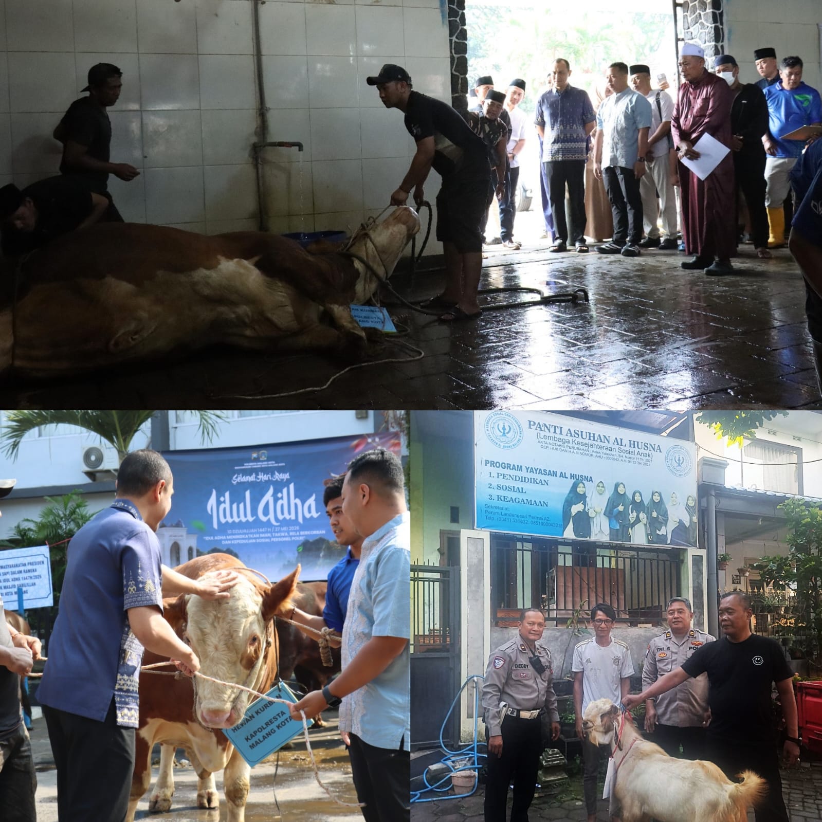 Polresta Malang Kota Siapkan Hewan Kurban, 12 Sapi dan 24 Kambing untuk Warga