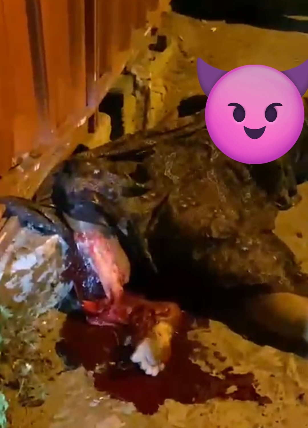 Warga Blumbungan Diduga Jadi Korban Tabrak Lari Mobil Fortuner Hitam